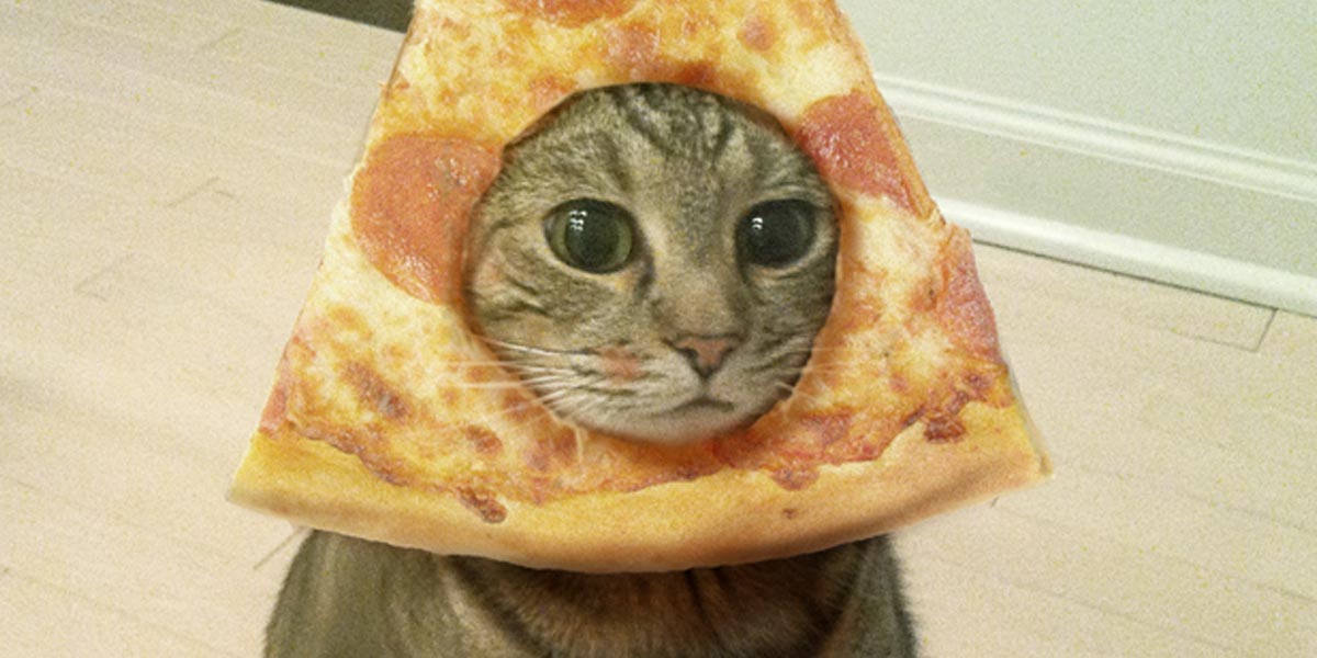 pizzacat